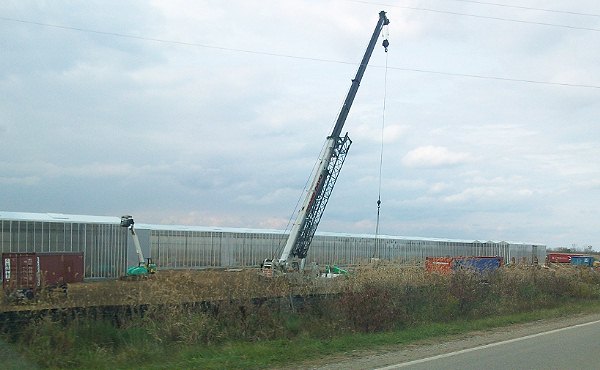 Mastronardi greenhouse framework now covered