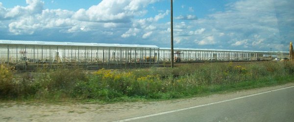 Mastronardi greenhouse framework